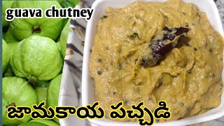 జామకాయ పచ్చడి చేయడం ఎలా|| how to make guava chutney in telugu || busy house wife