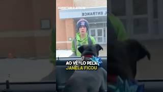 Ele reencontrou com seu cão que tinha SUMIDO😭❤️