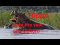 Africa's Breathtaking Beauty From The Seat Of a Mokoro On The Kavango River@DesertMatriarch2911 