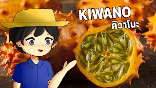 Motion ความรู้ ตอน Kiwano (แตงหนาม)