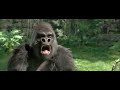 tarzan 3d 2013 en ligne hd avec liens