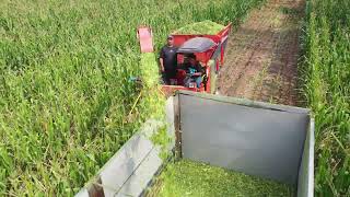 Feed Harvester，Maize Silage Harvester，Feed chopper，mini silage harvester，half feed harvester