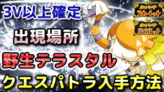 【ポケモンSV】クエスパトラ（野生テラスタル）入手方法！固定シンボル出現場所！3V以上確定で育成しやすい！【スカーレット・バイオレット】