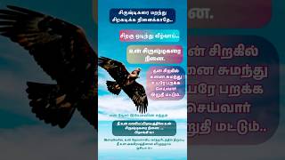 உன் சிருஷ்டிகரை நினை. பிரசங்கி‬ ‭12‬:‭1‬ காலமோ செல்லுதே.. ‭#wordofgod #tamilchristiansongs #jesus