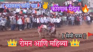 कोरेगाव मैदान 🔥 || 👑 रोमन आणि महिब्या 👑 || [ सेमी पास ]🚩|| ( फायनल साठी पात्र )✌️ || #roman #mahibya