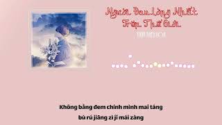 [Vietsub + Pinyin] Người Đau Lòng Nhất Trên Thế Giới 世界最伤心的人 - Trần Thiếu Hoa