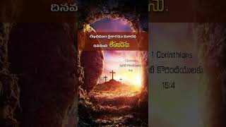 సిలువ-Cross |#teluguchristianpage#jesus#ytshorts#love#graceofgodjcharika