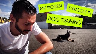 My Biggest Struggle In Dog Training | DailyGray 099