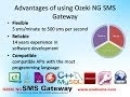 How to send SMS in Vb.Net (Vb.net sms example)