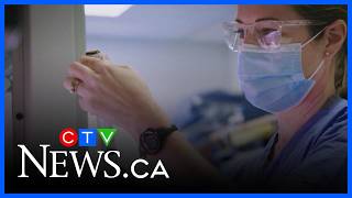 College cancels fall nursing program