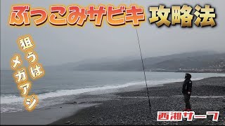 アジのぶっこみサビキ徹底解説【西湘サーフ】