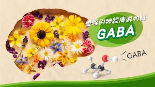 【幸福樹】營養素小教室#15 GABA