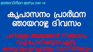 പരിശുദ്ധ അമ്മയോട് നിയോഗം വച്ച് ചോദിക്കുന്ന ഏതു കാര്യവും ഉറപ്പായും നടന്നിരിക്കും