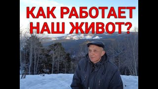 ВАШ ЖИВОТ. Истоки болезней