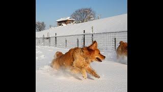 土曜ライブ　愛知県野澤自宅より