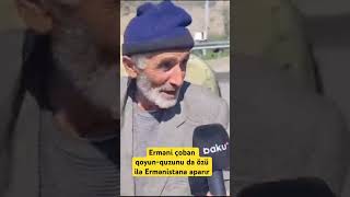 Erməni çoban qoyun-quzunu da özü ilə Ermənistana aparır