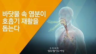 바닷물 속 염분이 호흡기 재활을 돕는다 - (20180815_659회 방송) 바다의 선물, 해양치유