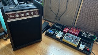 60’s Gibson Skylark GA5-t and modern pedals