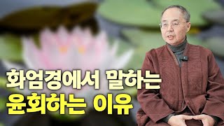 화엄경을 읽으며 했던 실수 | 보현행은 스승이 없어도 된다? | '화엄경 보현행원품 강의' 펴낸 이종린 원장 인터뷰 4