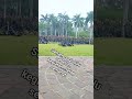 senam dulu sebelum kegiatan #tentara #army #tni #tniad #military #shorts #short #fyp #fypシ゚viral #fy