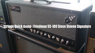 Strings Quick Demo : Friedman SS-100 Steve Steven Signature