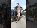 ആശാനെ ഞാൻ ഇറങ്ങുവാ..kerala elephant steping down