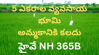 5 ఎకరాల వ్యవసాయ భూమి అమ్మకం | NH 365B జనగాం - సూర్యాపేట హైవే | దేవరుప్పాల | మీకో గొప్ప అవకాశం