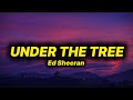 Ed Sheeran - Under the tree (lyrics)