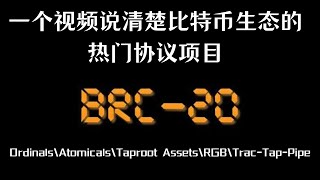 一个视频说清楚比特币生态的热门协议项目｜BRC20｜ARC20｜Ordinals｜Atomicals｜Taproot Assets｜RGB｜Trac-Tap-Pipe