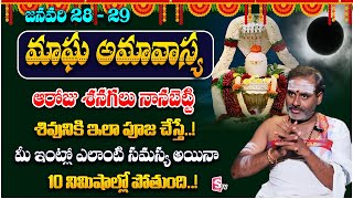 Significance Of Magha Amavasya 2025 | Amavasya Pooja Vidanam | Tirupati Murthy Avadhani | SumanTV