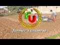 কিভাবে উচ্চ ফলনশীল আলু বীজ তৈরি করবো potato। potato seed making। potato farming