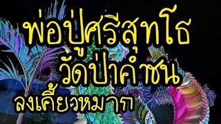 พ่อปู่ศรีสุทโธ วัดป่าคำชน ลงมาเทียบเคี้ยวหมาก