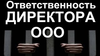 Чего бояться ДИРЕКТОРУ ООО? Ответственность директора ООО, личные штрафы руководителя