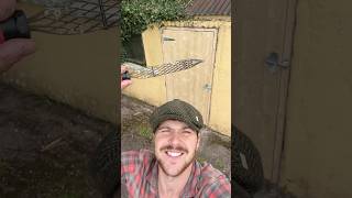 Homers Door #dog #woodwork #door #carpentry #story #ireland #repair