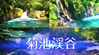 【やす旅公式Vlog】菊池渓谷(熊本納涼地) (2023デジタルリマスター版) (2023.7.15公開)