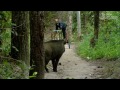 on the track of the unicorn indian rhinoceros full documentary