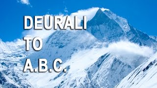 Deurali to Annapurna Base Camp