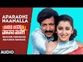 Aparadhi Naanalla Full Audio Song | Raayaru Bandaru Maavana Manege | Vishnuvardhan, Dwarkish, Dolly