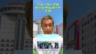 【中島議員に聞いてみた】「柏駅の未来」緑あふれる駅前の新しいカタチ