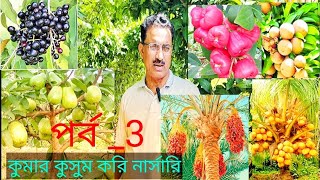 কুমার কুসুম করি নার্সারি . Kumar Kusum Kari nursery খুব কম দামে এই নার্সারিতে গাছ পাওয়া যায়