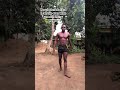 Can a body builder flip ? 🤔#fitness #africa #fypシ゚viral #fyp