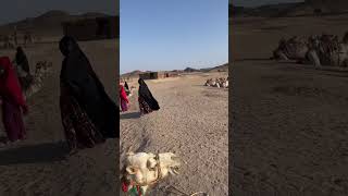 Camel 🐪 ride in desert safari | hurghada Egypt #shorts #viral #trending #desert #ytshorts