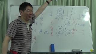 【地球身心靈整合學會/白光老師】2019.07.20 上師課程第016堂課：釋迦牟尼佛「心念」課程2