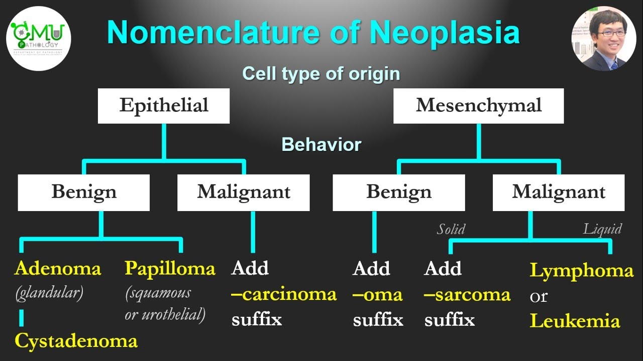 Patho Minutes Nomenclature Of Neoplasia Youtube