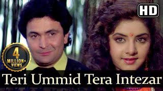 Teri Umeed Tera Intezaar (तेरी उम्मीद तेरा इंतज़ार) - Deewana - Rishi Kapoor - Divya Bharti