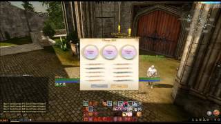 ArcheAge; Class System.