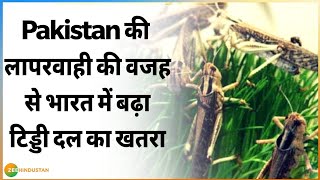 भारत में टिड्डियों के बढ़ते खतरे पर कृषि मंत्रालय का बड़ा बयान | Locusts Attack | Pakistan|Agriculture