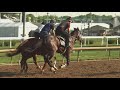 FOCUS | Churchill Downs makes improvements following tragedies at the track