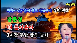 강문경 [배 들어온다] '현역가왕2' 봐라~~// 흥이 절로 나는구나_1시간 무한 반복 듣기 \u0026 배우기(자막 포함) #강문경#배 들어온다#김국환#뽕신#현역11년차#트롯신이떴다2