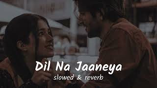 Dil Na Jaaneya (slowed & reverb) musiq mixtape